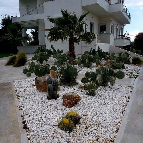 ΦΥΣΙΚΑ ΠΕΤΡΩΜΑΤΑ Ψηφίδα Λευκή. 001