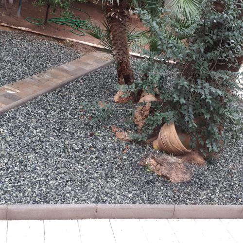 ΦΥΣΙΚΑ ΠΕΤΡΩΜΑΤΑ Ψηφίδα Πράσινη. 001