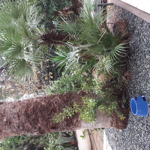 ΦΥΣΙΚΑ ΠΕΤΡΩΜΑΤΑ Ψηφίδα Πράσινη. 001