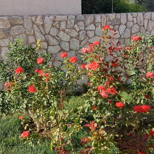 ΦΥΣΙΚΑ ΠΕΤΡΩΜΑΤΑ Πέτρα Καπάκι Ακανόνιστο Λευκό-Γκρι. 001