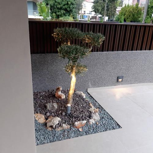 ΦΥΣΙΚΑ ΠΕΤΡΩΜΑΤΑ Βότσαλο Καβάλας Γκρι Ανοιχτό Fish. 001