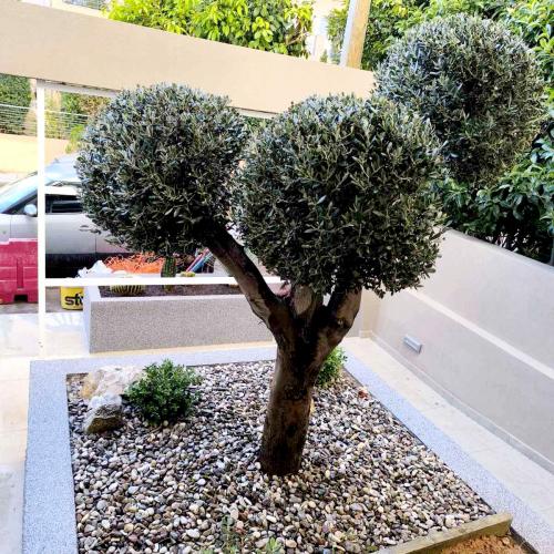 ΦΥΣΙΚΑ ΠΕΤΡΩΜΑΤΑ Βότσαλο Ποταμίσιο Πολύχρωμο. 001