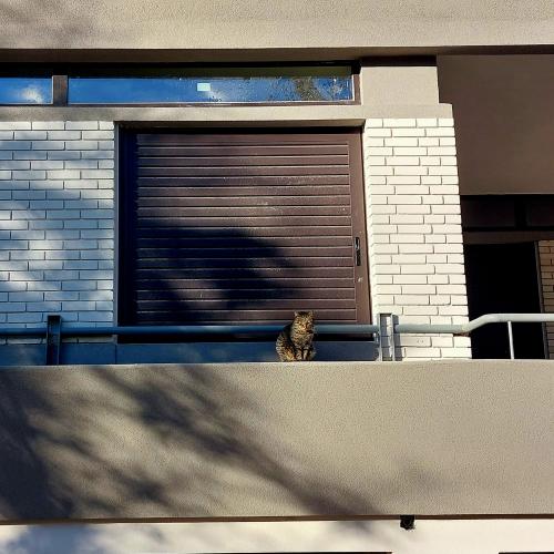 ΦΥΣΙΚΑ ΠΕΤΡΩΜΑΤΑ Διακοσμητικό Τούβλο Τσιμέντινο Λευκό. 001